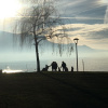 Riethauser_1