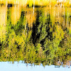 Casson_2