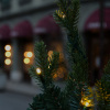 MWeaver_2