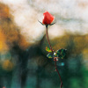 Bessire_2