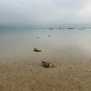 Stordel_2