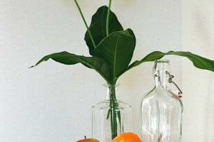 2024_11 Nature Morte