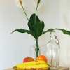 Bessire_NatureMorte_1