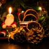 Gunther_NatureMorte_2