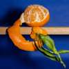 Manier_NatureMorte_2