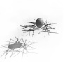 Cochon_2