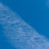 Gunther_2