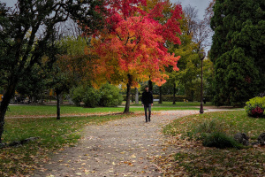 2025_12  Les lignes directives