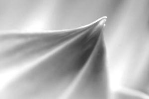 2025_10  Abstraction