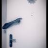 Marc-Vouillamoz_Le-Bras-Revelateur-
