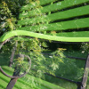 Sylviane-Wohlschlag-1.JPG