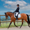 Frederique_Zesiger-5