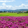 Jeanne_Francoise_1