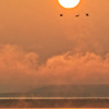 Thierry_03